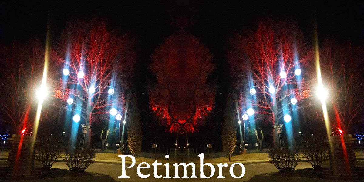 The band name Petimbro over a photo of a large tree with lights. The photo is mirrored, so the left half is a reverse of the right half.