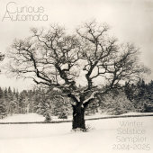 Winter Solstice Sampler Cover